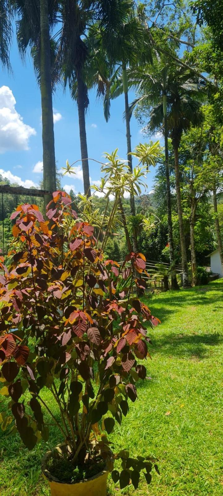 Villa Sitio Saramandaia à Juquitiba Extérieur photo